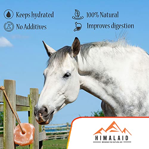 Himalaid Himalayan Salt Lick On Rope For Horses, Cattles, And Other Livestock, 2.5 Lbs Each (9 Pack) #TOP2