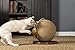 Prevue Pet Products Kitty Power Paws Sphere with Tassel Toy, Natural, 13 (7130)