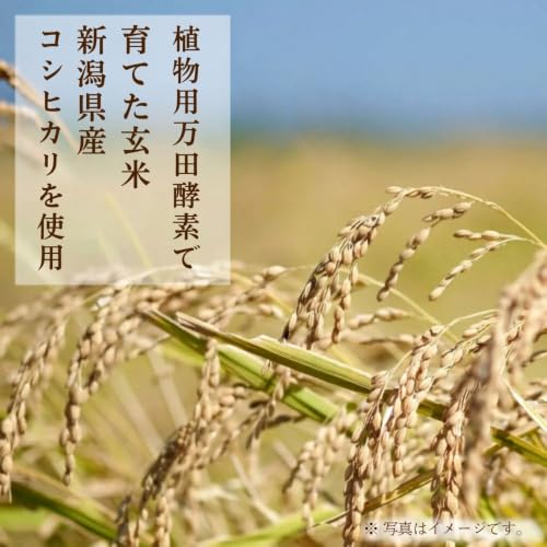 万田酵素 もちもち寝かせ玄米®ごはん 180g×12パック 食品 パックご飯