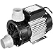 Happybuy Swimming Pool Pump 3/4 HP 110V Hot Tub Pump 0.75 Kw Water Circulation Pool Pump Spa Pump Above Ground Pool and Whirlpool Bath