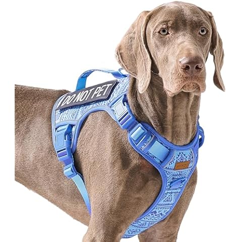 Heavy Duty No Pull Dog Harness for Large Breeds Cover