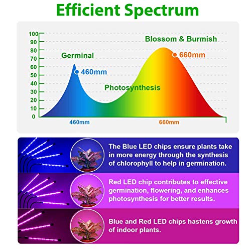 Didseth Led Grow Light, 5 Heads Plant Lights For Indoor Growing, Full Spectrum Grow Light, Led Growing Lights For Seed Starting Vegetables, 10 Dimmable Levels, 3 Switch Modes, 3/9/12H Timer #TOP3