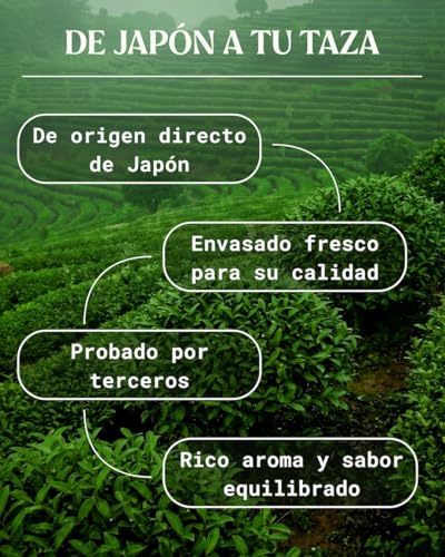 Miniatura 3 de Té Verde Matcha Orgánico Japonés En Polvo - Grado Culinario - 50 Gr. Matcha Biológico Para Cocinar. Matcha Ecológico Cultivado En Japón, Uji, Kyoto. Ideal Para Hornear, En La Cocina Y Con Latte
