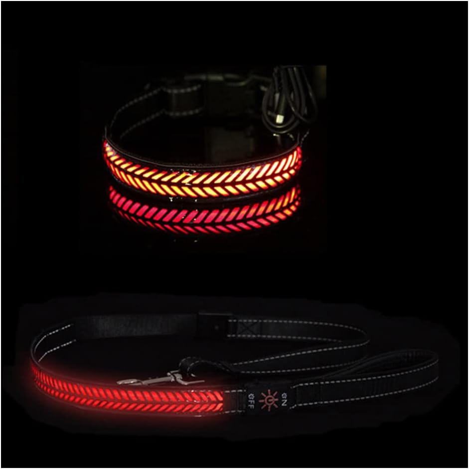 LED Dog Collar, Leash 2 Piece Set, USB Rechargeable Luminous Pet Collar, Nylon Webbing Night Safety Light, Ideal for Small, Medium and…