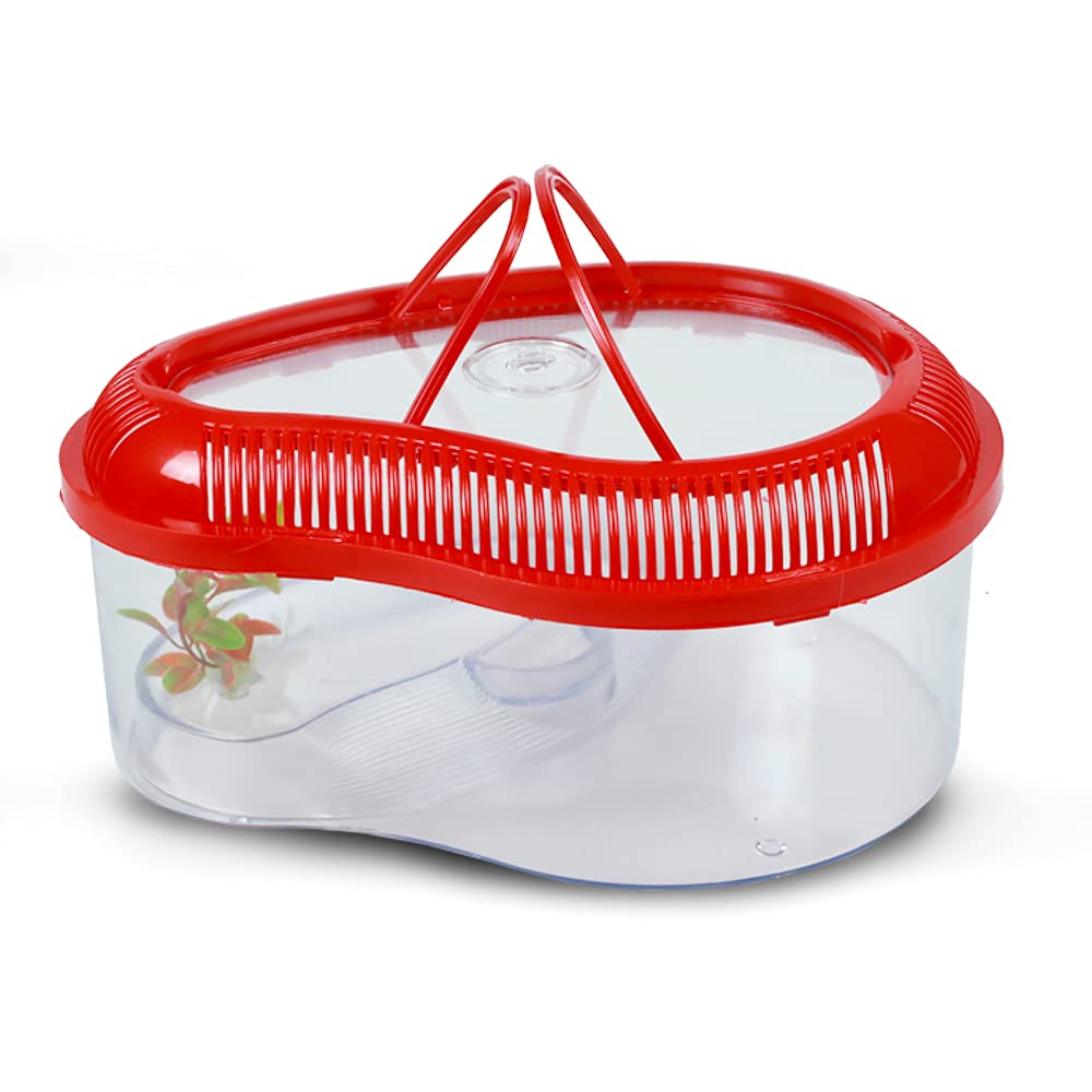 Foodie Puppies Turtle House Reptile Carrier with Bask Platform Raising ...