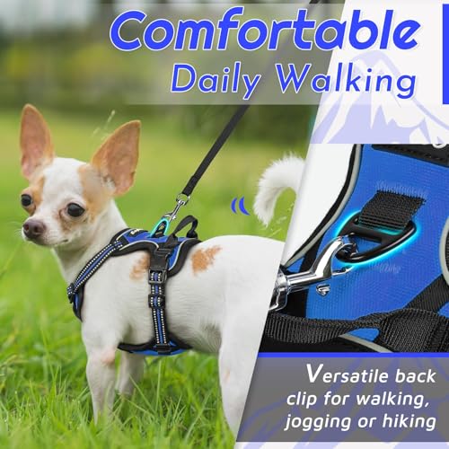 Image of Eagloo Dog Harness for Small Dogs, No Pull Pet Vest with 2 Leash Clips