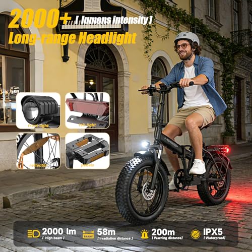 48/52V 15.6/25/40AH Fat Tire Electric Bike for Adults,