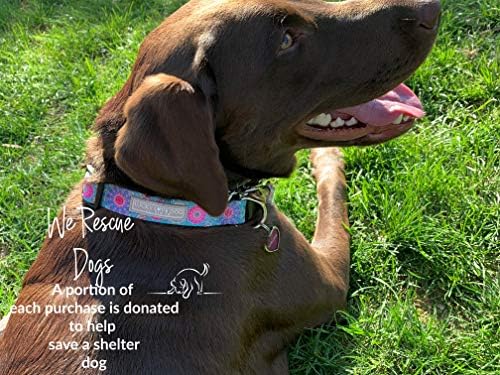 Matching dog collars for two dogs Clearance