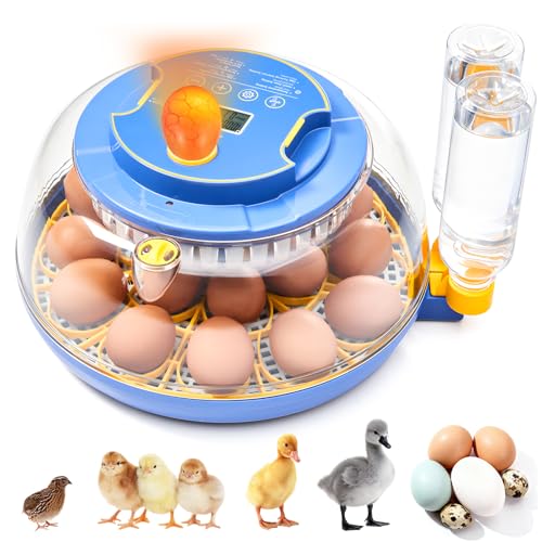 Incubateur d'œufs automatique pour 18 œufs de poule ou caille avec contrôle de température
