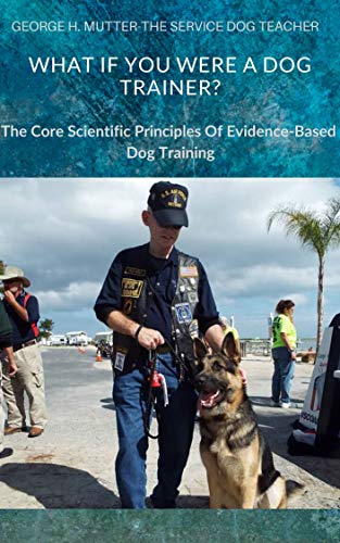 modern service dog training