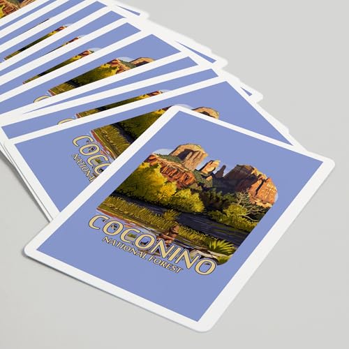 Lantern Press Naipes Poker 52 Cartas Coconino National Forest miniatura 5