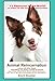 Animal Reincarnation & Animal Life After Death - Answers Your Heart's Questions re Pet Loss, Afterlife, After-death Communication