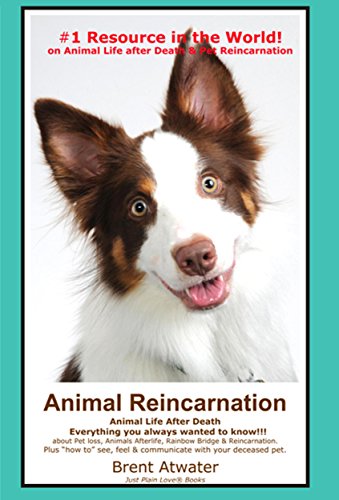 Animal Reincarnation & Animal Life After Death - Answers Your Heart's Questions re Pet Loss, Afterlife, After-death Communication