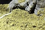 Lucky Reptile Desert Bedding jaune doré, substrat désertique 7 L photo 4