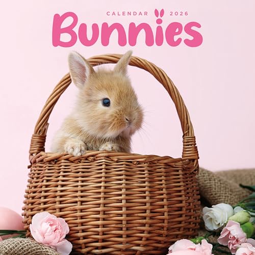 2026 Bunnies Mini Wall Calendar
