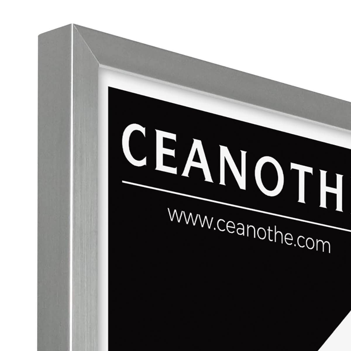 Ceanothe Cadre Photo 50x70 cm Acier Moderne et Elégant Convient au A2 et Affiche Poster-Collection Precious Verre Acrylique Incassable Recyclé - Fabriqué en France