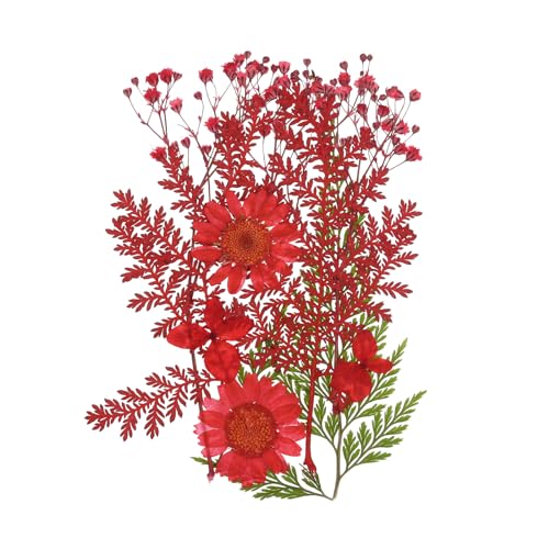 Flores secas prensadas naturales rojas para manualidades miniatura 1