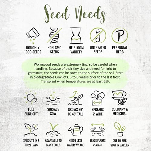Seed Needs Wormwood Seeds for Planting - Non-GMO, Heirloom & Untreated Perennial Herb - Medicinal Herbs for Digestion & Gut Health (2 Packs) - Image 8