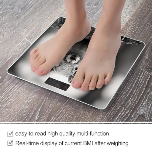 Báscula digital de baño con vidrio templado y pantalla LCD miniatura 5
