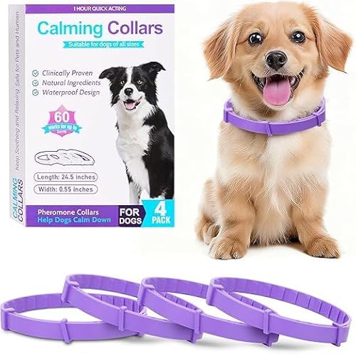 Calming Collar for Dogs 4 Packs, Dog Anxiety Relief Collar Stress Relief Lasts 60 Days Relieve Bad Behavior,Stress & Noise Phobia,25 Inches Flexible Adjustable for All Dogs (Purple) Gift Set