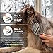 WePet Dog Tie-Out Stake and 2-in-1 Shedding Grooming Tool