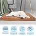 Water-Resistant Dog Bed - Orthopedic Dog Bed with Removable Washable Cover, Non-Slip Bottom, and Egg Crate Style Foam - 36in Medium Pet Bed - Puppy Essentials by PETMAKER (Clay)