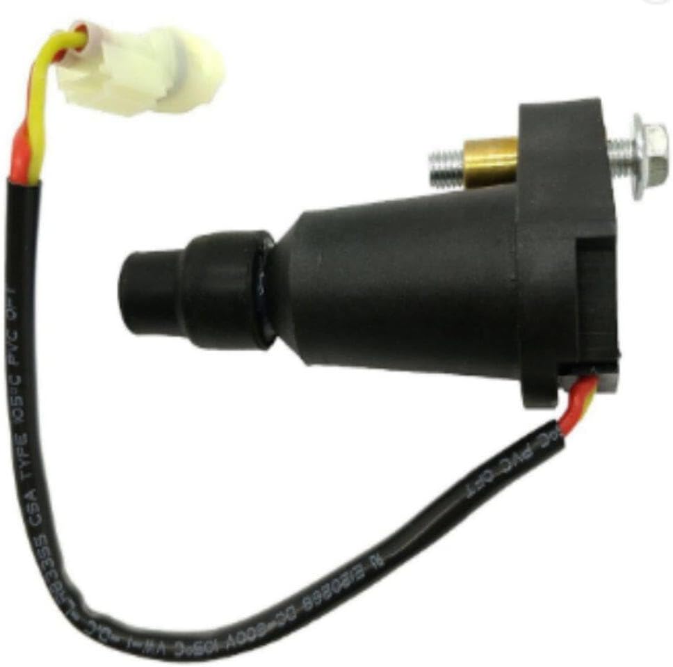 柳沢正人、【黎明ローマ】、希少な額装用画集より、新品額装付