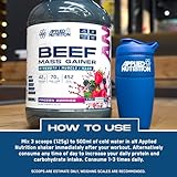 Applied Nutrition Beef Mass Gainer Protein Powder – 42g Beef Protein Isolate, High Calorie Weight Gainer Supplement, Lactose Free, Low Sugar (3.13kg – 25 Servings) (Cola Millions) - Image 7