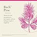 Bach Original Flower Remedies, Pine - Have Self-Respect - Natural Homeopathic Flower Essence for Emotional Balance - Vegan, Gluten Free, Sugar Free - 20mL Dropper
