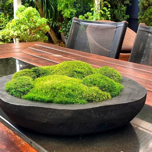 Preserved Pole Moss Pillow Bun Cushion Natural Green Decorative Real Natural Green DIY Kit Terrariums Gardenning Art Wall Decor Florist Decor Easter Table Decor Wedding(1.5 sq.ft, Green-B)