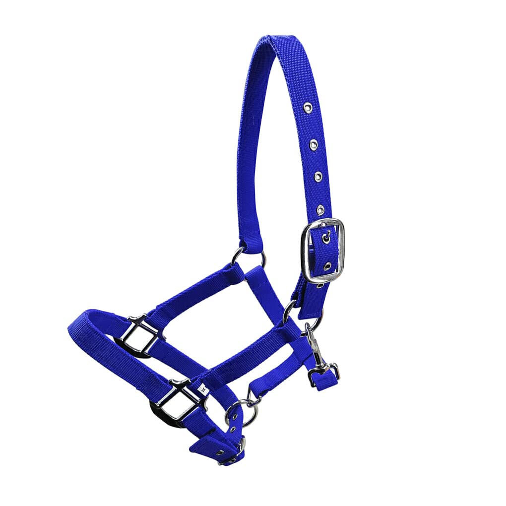 Capezza imbottita Pony Bridle Head Collar Regolabile in lega di zinco Equipaggiamento protettivo Indossare facilmente Forniture per cavalli Solidità, Blu, XL