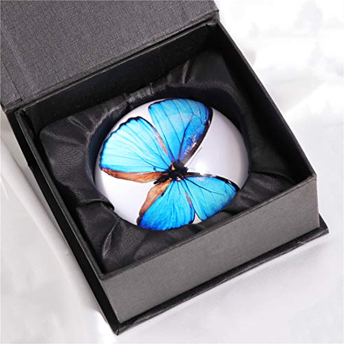 Waltz&F Crystal Blue Butterfly Specimen Paperweight Galss Globe Hemisphere Home Office Table Decoration 2.7'' #TOP5
