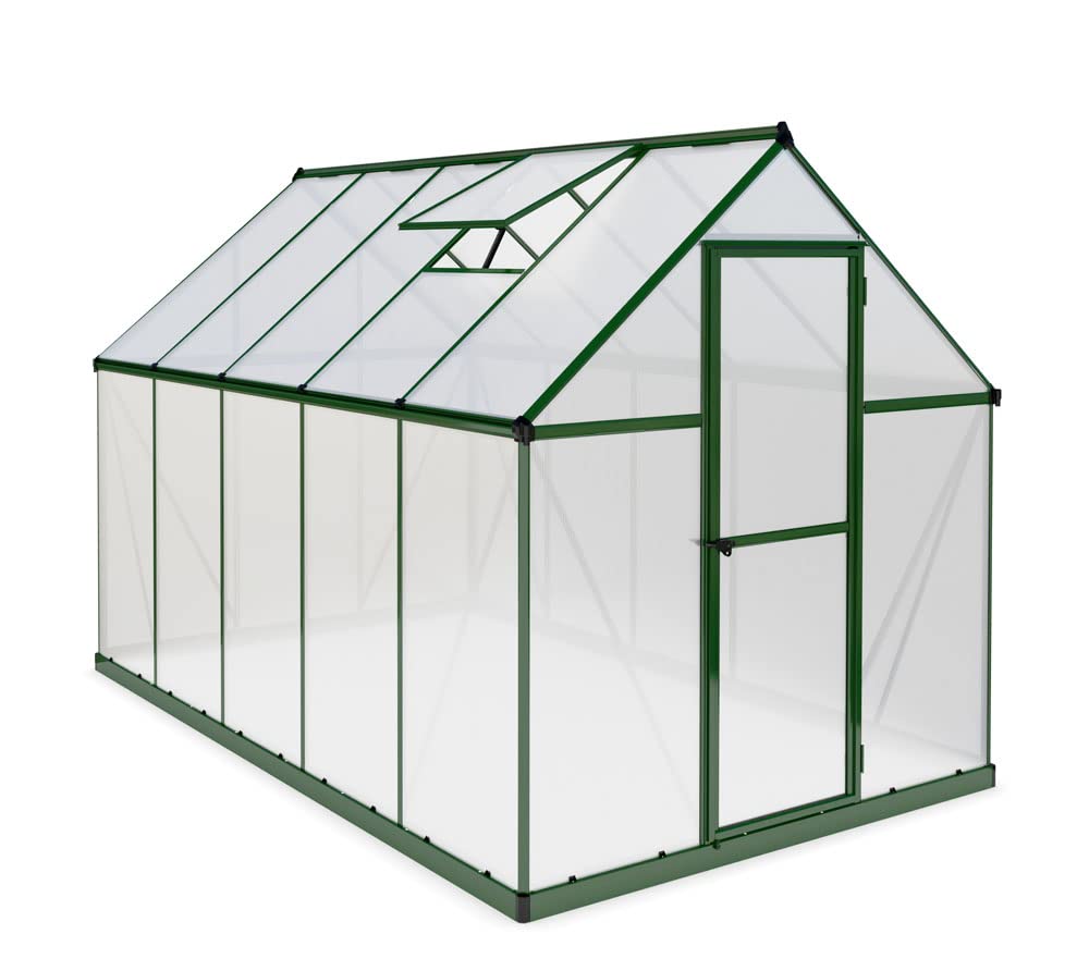 Canopia by Palram Gewächshaus klein Mythos 6x10 Treibhaus 306x185 cm Aluminium Grün Tomatenhaus Polycarbonatplatten UV-beständig