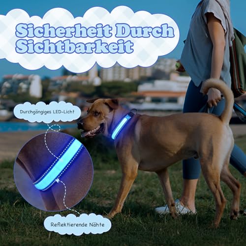 Collier lumineux LED rechargeable bleu étanche doté d'une sangle ajustable - 3