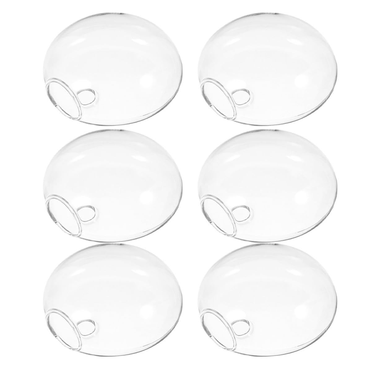 Plantes hydroponiques sans encombrer le bureau grace au vase mural en verre lot de 6