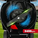 LEHMANN B0F94BG51J lato 4