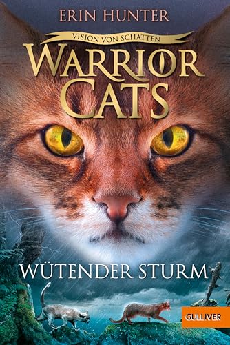 Warrior Cats - Vision von Schatten. Wütender Sturm: Staffel VI, Band 6 (Warrior Cats, Staffel 6: Vision von Schatten)