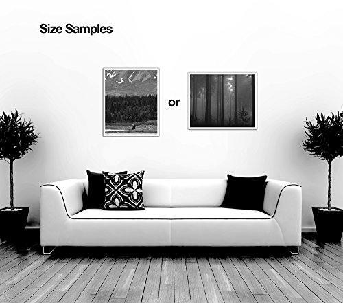 Jp London Pos2301 Ustrip Peel And Stick Removable Wall Decal Sticker Mural Vintage Beer Poster Label Bears, 19.75-Inch By 24-Inch #TOP1