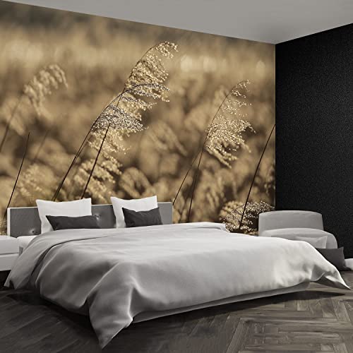 Papier peint moderne Tulup 152x104cm résistant beige pour une protection murale durable - 4