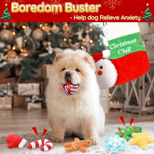 LECHONG 9 Pack Weihnachten Hundespielzeug Set, 8 gefüllte Hund Quietsche Spielzeug mit Hundespielzeug Lagerung Weihnachten Socke für kleine Hunde und Welpen, Weihnachten Spielzeug Geschenk für Hunde