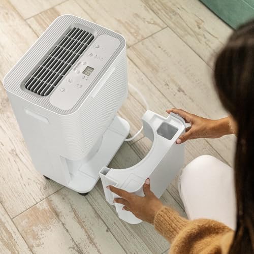 Deshumidificador Cecotec BigDry 8000 de 16 L contra moho y paredes húmedas 5