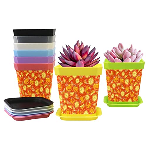 Succulents Pot Planter With Drainage And Trays, Garden Flower Pots For Indoor Plants, 8 Pieces Outdoor Plastic Plant Seed Starting Pots Yellow Orange Clementine #TOP3