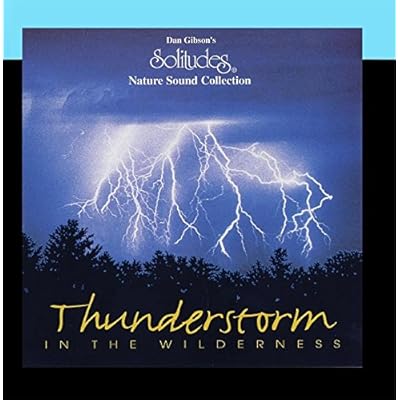 Thunderstorm in the Wilderness