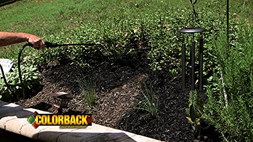 Colorback Mulch Liquid Color Concentrate, 12,800 Square Feet Coverage, 1-Gallon, Black #TOP2