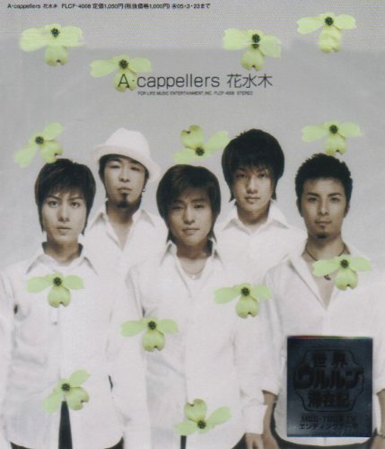 花水木(hanamizuki)