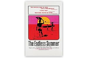 TqzBryziad Beach Coast Poster: The Endless Summer
