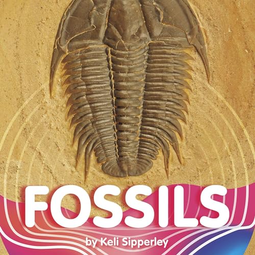 Fossils (Authored by Keli Sipperley) episode artwork