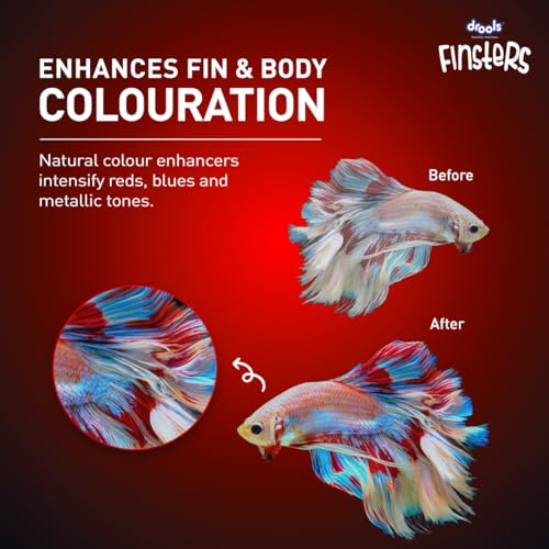 Image of Drools Finsters Betta Fish Food 25g Pouch
