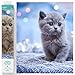 Produktbild DIAMOND DOTZ DQ8.020 - Original 5D Diamond Painting Squares Set Katze Bubbles, Kreativset mit 16.641 quadratische Diamant Mosaiksteinen, Malset ca. 34,5 x 34,5cm für Erwachsene und Kinder ab 8 Jahren