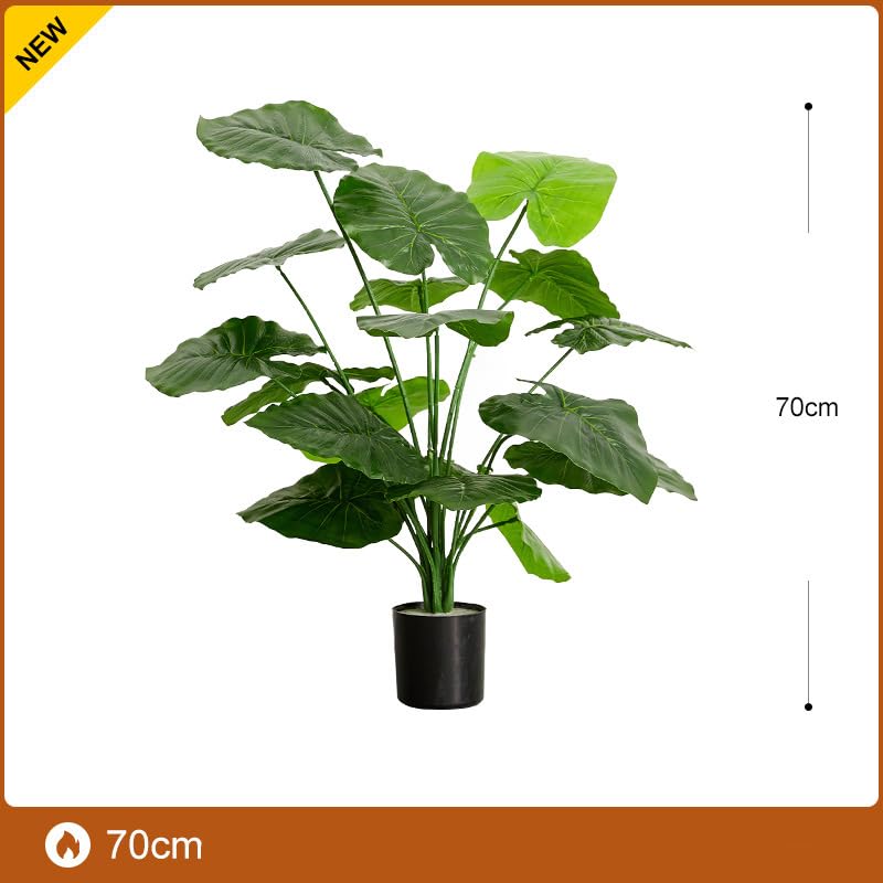 La mejor comparación de Plantas que Puedes Comprar On-line. 30 Imagen adicional
